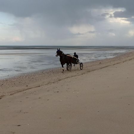 Gites En Normandie En Front De Mer A Asnelles , 3Km D'Arromanches, 10Km De Bayeux Zewnętrze zdjęcie