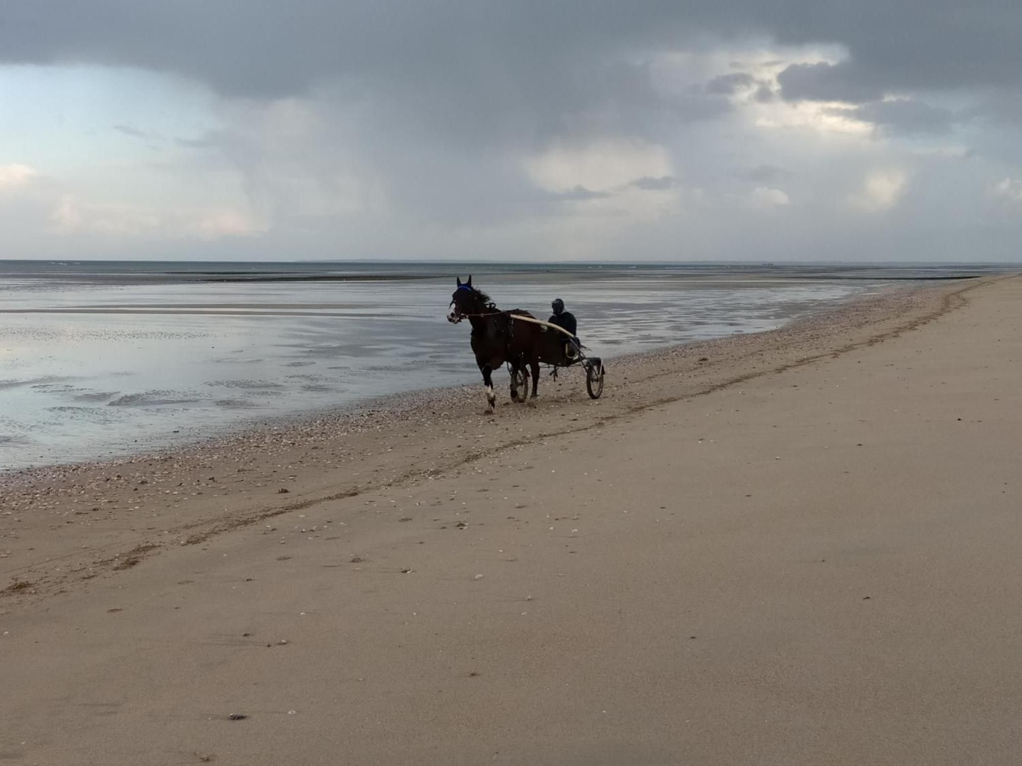 Gites En Normandie En Front De Mer A Asnelles , 3Km D'Arromanches, 10Km De Bayeux Zewnętrze zdjęcie